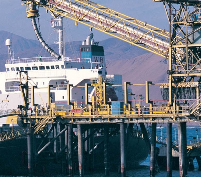 Innovación de Tecnología Banana Sprout