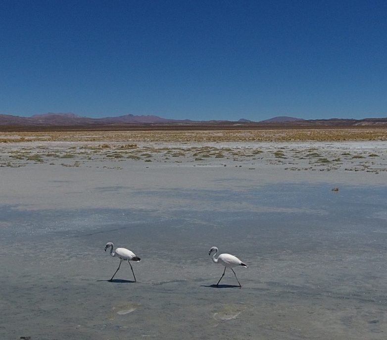 Evaluación del riesgo climático y de los criterios de diseño para la ampliación de una mina